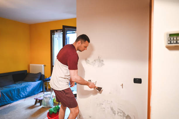 Office Mold Removal Services in Progress, PA