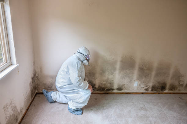 Water Damage Restoration in Progress, PA